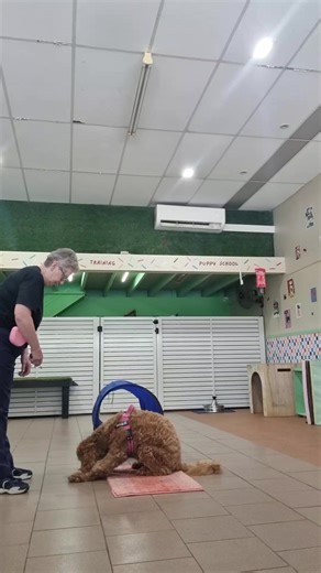 Millie & Lexie ✨️