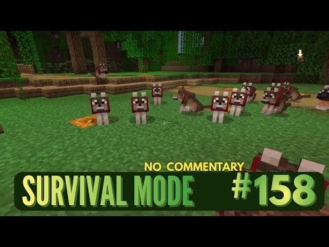 Minecraft Survival Mode, Episode 158 No Commentary