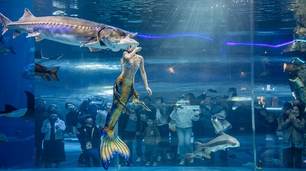 She pretended to be a mermaid - then a giant fish swallowed her head