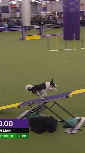 Built for the middle lane | 16-inch height class winning run 🏆