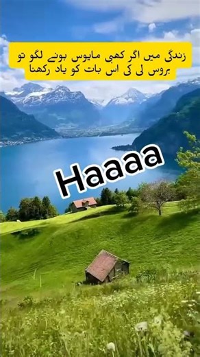 Bruce Lee meme 😁😁😁😆😆