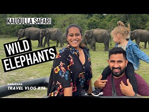 SAFARI IN SRI LANKA | CINNAMON LODGE HABARANA