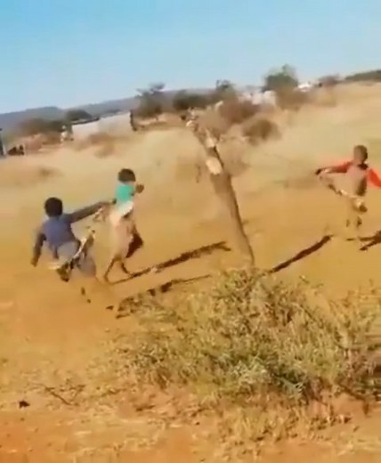 Paolla Oliveira on Instagram: "Que a gente cultive esse criança todo dia. Que pode tudo, que tudo é vida e alegria. ❤"