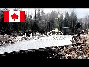 【カナダ田舎暮らし】スペイフライフィッシング、スチールヘッド・チャレンジ、Part 8 | 今でもウインターラン・スチールヘッドは釣れるのか？ | 原生林の川 | サクラマス