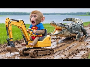 Monkey Funky Digs a Water Channel to Save His Dragonfruit Farm— But a Ferocious Crocodile Jumps Out!