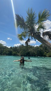 16K views · 41K reactions | Silver Glen Springs es una joya natural...