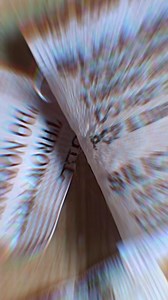 295K views · 14K reactions | Cómo reactivar Silica Gel ️ | Breaking Vlad | Facebook