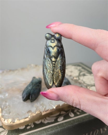 Labradorite Locust Crystal Carvings - Etsy