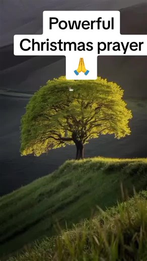 Powerful Christmas Prayer for Peace and Joy