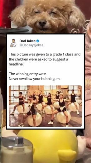 HAHA🤣💯 #shortsfeed #ytshorts #youtubeshorts #shorts #funny #memes #viral #comedy #fyp #trending #yt