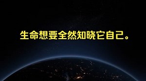 阿迪亚：生命想要全然知晓它自己。Life's desire to be fully conscious of itself - Adyashanti