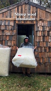 🐑 in my walls so fluffy #dirtbag #pallet #cabin #build #wool | Jacob Cochrane