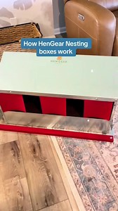 10K views · 225 reactions | Go to Hengear.com and use code EggsandBunnies for $15 off. Follow EggsandBunnies on Tiktok, Instagram and YouTube | Carrie Turner | Facebook