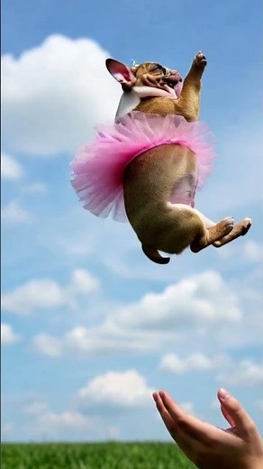 Found THIS in my Cereal! 🥣🪳 vs. GIANT Roach Attack 🏢😱