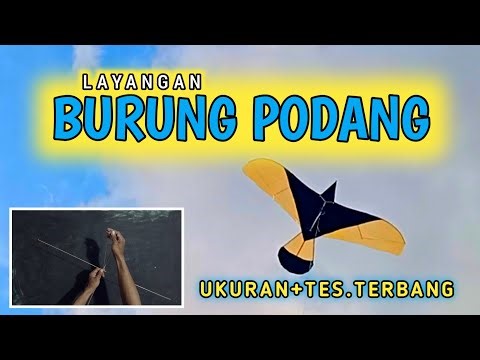 TERNYATA MUDAH!! membuat LAYANGAN BURUNG | TURTORIAL cara membuat layangan burung
