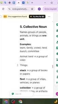 What is Collective Noun? Collective Noun Examples