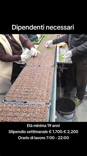 Offerte di lavoro per pulizia scolastica in Italia