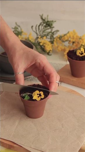 You Won’t Believe This Is a Flower Pot Cake! 🌼🍰 #shorts