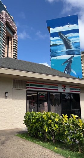 Exploring the Unique 7-11s in Hawaii