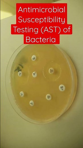 Antimicrobial Susceptibility Testing of Bacteria on Muller-Hinton Agar