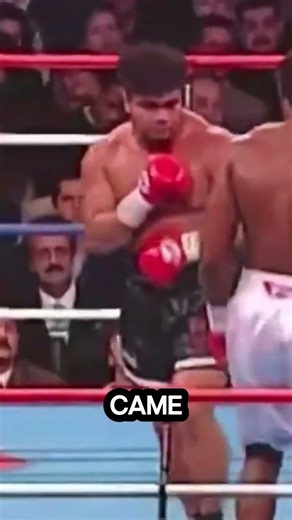 one punch vs the complete champion