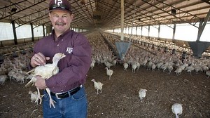 Central Texas farm turns tons of turkey poop into environmental gold