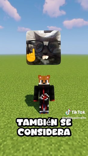 WildSquirrelTv on TikTok