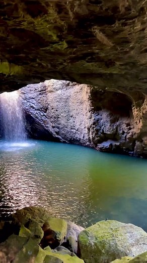 Adventure at Springbrook National Park 🌲✨ Spectacular waterfalls, lush rainforest, ancient trees, impressive views, and incredible natural beauty makes Springbrook National Park a must-explore location - only 40mins from the Gold Coast. 📍 Natural Bridge 📍 Twin Falls 📍 Best of All Lookout 🎥 IG/_liveforadventure_ #GoldCoast #Queensland #Australia #ThingsToDoGoldCoast #Adventure #Nature #Travel #SeeAustralia #ThisIsQueensland #Waterfall #Rainforest #NationalPark #SpringbrookNationalPark | Expe