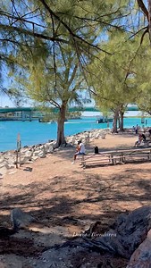 Haulover Park, North Miami. . . . #miami #florida #hauloverinlet #balharbour #yachts | Dorota Biendarra