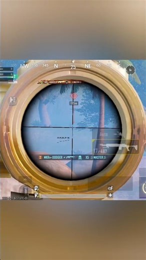 Best Ever Excellent Zero Recoil Spray with Mk14 6X Scope