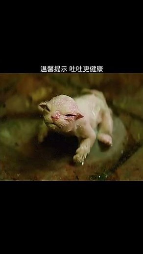 Top 10 Best Hollywood Horror Movies Of 2022 | Best Horror Movies On Netflix, Amazon Prime, YouTube