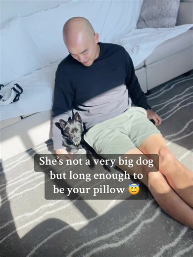 #rescuedog #puppybeee #nomads #daddysgirl #中华田园犬 #流浪狗的后半生 #littlepaws