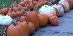 First Day of Fall: Cold front moves in