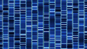 CRISPR’s Potential and Dangers: Is CRISPR Worth the Risk?