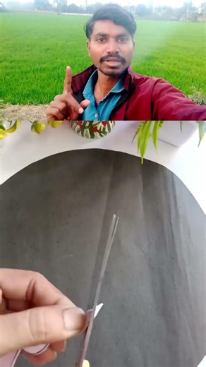 paper se phool banane ka Sahi tarika 🥰 #papercraft #flowers #flowerdesign #tipsandtricks #amazing