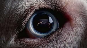 News just in: Roger Waters' reworking of The Dark Side Of The Moon actually works