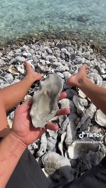 Comprendre les termes de Mapiko et leur signification