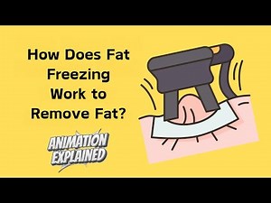 How Does Fat Freezing (Cryolipolysis) Work to Remove Fat? | Animation Explained