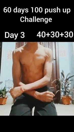 60 days 100 push up challenge #freerista