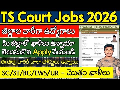 TS District Court ఏ జిల్లాలో ఎన్ని పోస్టులు ఉన్నాయి | TS Court District Wise & Cast Wise Vacancies