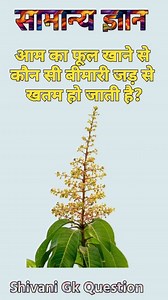 3.2M views · 10K reactions | Top 20 GK Question || GK Question ✍️|| GK Question and Answer #gk #gkquiz #gkinhindi #trending #trendingreels #gkquiz #instagram #reelsindiaofficial | Shivani Gk question | Facebook