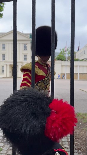 Final Trooping Rehearsal with Gareth - Horseguards Parade | Irish Guards