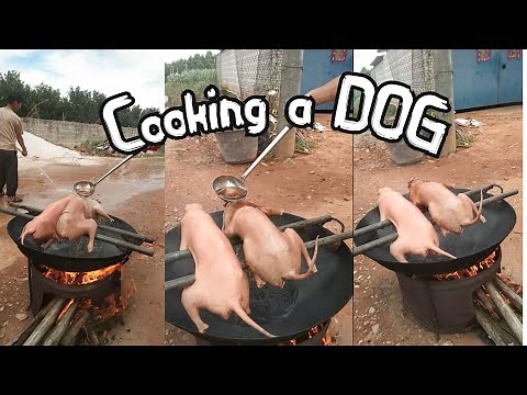 How Chinese make Dog meat so delicious | Chinese famous dog recipe