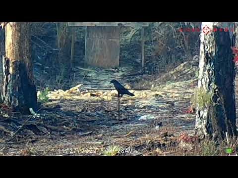 Sightmark Wraith 2-16x28