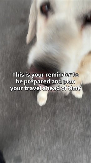 12K views · 92 reactions | Our projects around Provo have made adjustments to their work for this, but you better believe it’ll still be busy. Carpool, take Utah Transit Authority - UTA, and give yourself extra time to get to the game. 﫡 | Utah DOT | Facebook