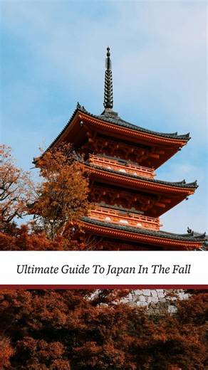 Fora Travel | @toujours.travel has spent months exploring Japan across every season but she says fall is when it really shines. Think fiery red temples... | Instagram