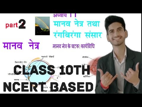 science class 10th chapter 11 most important questions | ncert science class 10th| विज्ञान कक्षा 10।