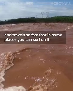 34K views · 11K reactions | Behold the largest tide on Earth (right...