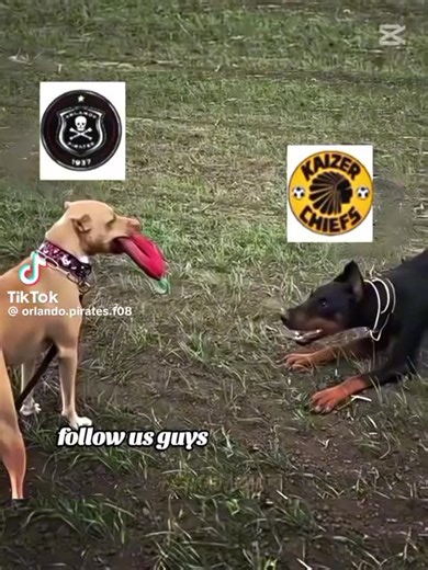 special activity (@special.activity)’s videos with original sound - special activity