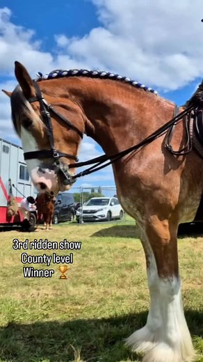 27 reactions | Only this young man's 3rd ridden show and straight in...